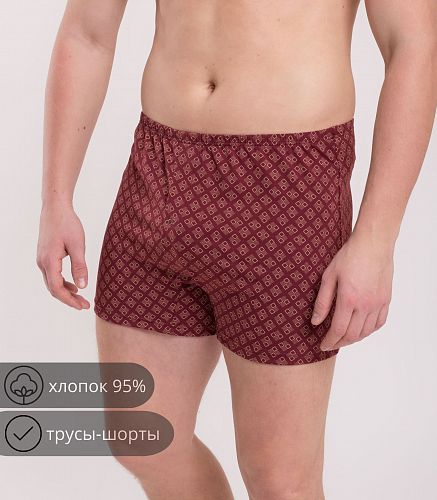 Трусы мужские 7017/53